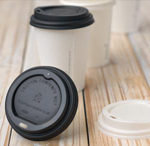 Unbleached sugarcane Square container 24oz 300pc/ctn