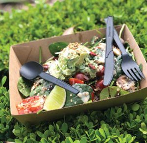 Takeaway container 750ml 500pc/ctn