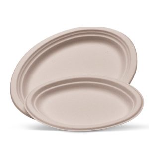 Bamboo Oval Plate Small 500pc/ctn
