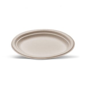 Sugarcane Oval Plate Large 500pc/ctn